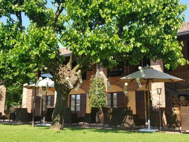 Farm stay La Camilla *